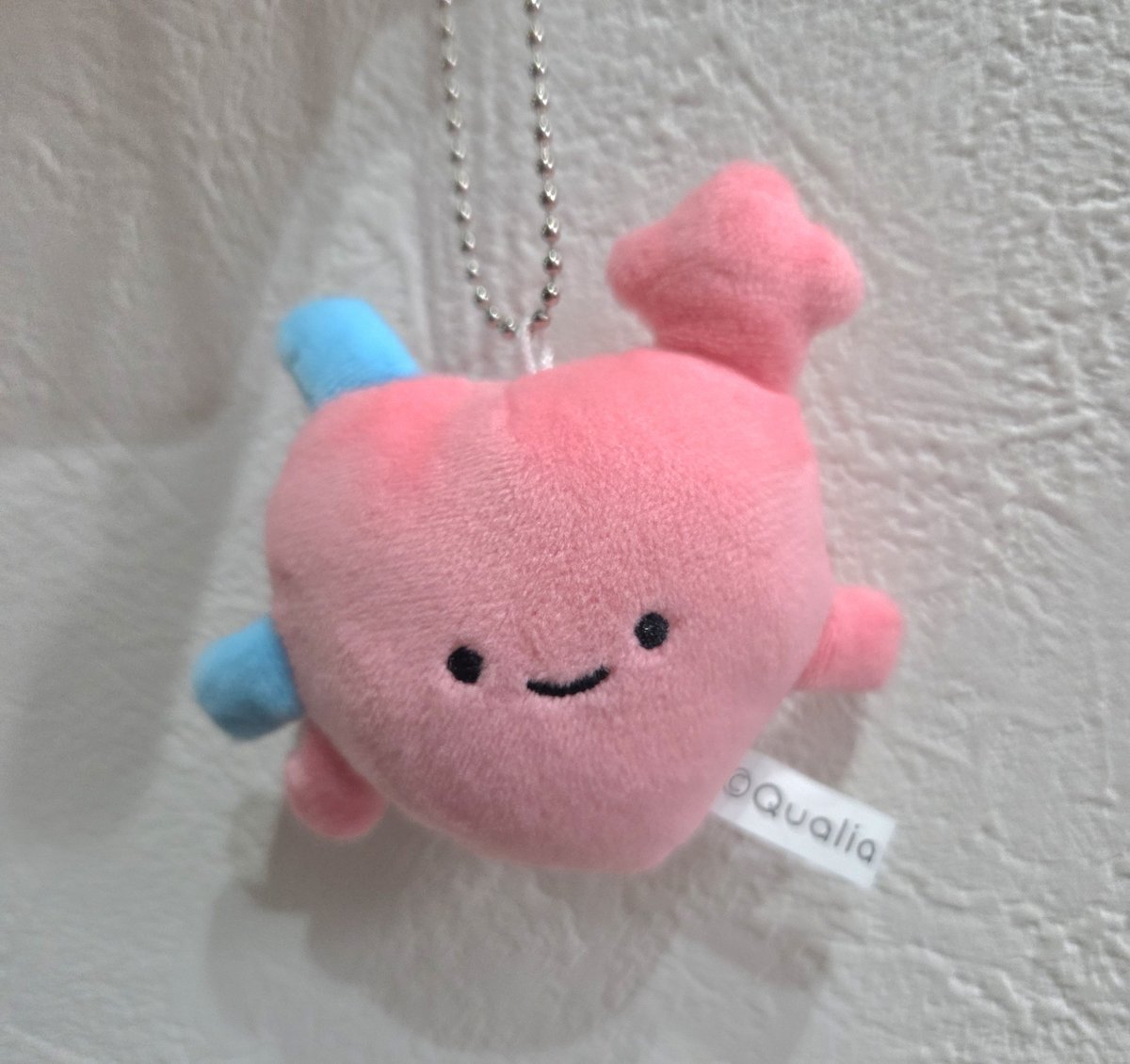 kuro_che's tweet photo. Qualiaのポップアップに行ってきました。
心臓モチーフのぬいぐるみマスコットが展示してあった。めちゃくちゃ可愛い。
欲しかったので後日ネットで探して購入。これ、ヘルプマークに付けたら付けてる理由が分かって良いのでは？
#qualia10周年展 https://t.co/in5mJgJtE8
