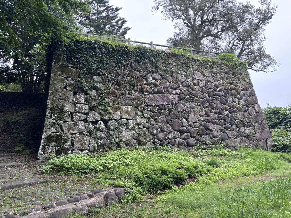 SiloVine's tweet photo. 豊後・永山城なう

日隈城との対比で月隈城とも。
関ヶ原で改易された毛利氏に代わり入った小川氏が築いた城。その後に入った石川氏によって整えられた。
麓には水堀と館、裏山に詰の城を持ち、特に詰城の大手門石垣はかなりの規模

水堀、大手門石垣
伝天守台石垣、切岸側面の多数の穴は横穴式墳墓 https://t.co/2S5tc8AMDp