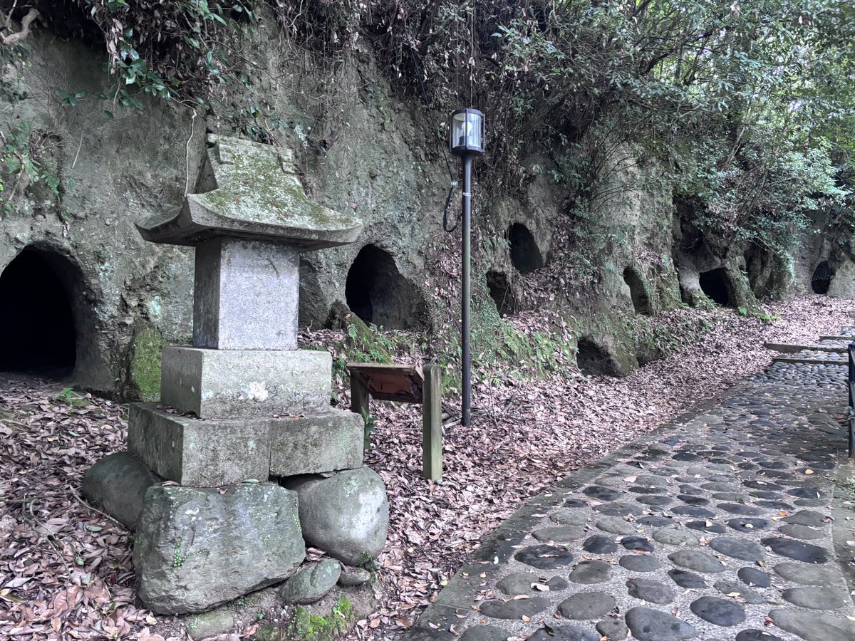 SiloVine's tweet photo. 豊後・永山城なう

日隈城との対比で月隈城とも。
関ヶ原で改易された毛利氏に代わり入った小川氏が築いた城。その後に入った石川氏によって整えられた。
麓には水堀と館、裏山に詰の城を持ち、特に詰城の大手門石垣はかなりの規模

水堀、大手門石垣
伝天守台石垣、切岸側面の多数の穴は横穴式墳墓 https://t.co/2S5tc8AMDp