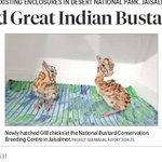 Photo by निखिल घाणेकर (Nikhil Ghanekar) (@NGhanekar)