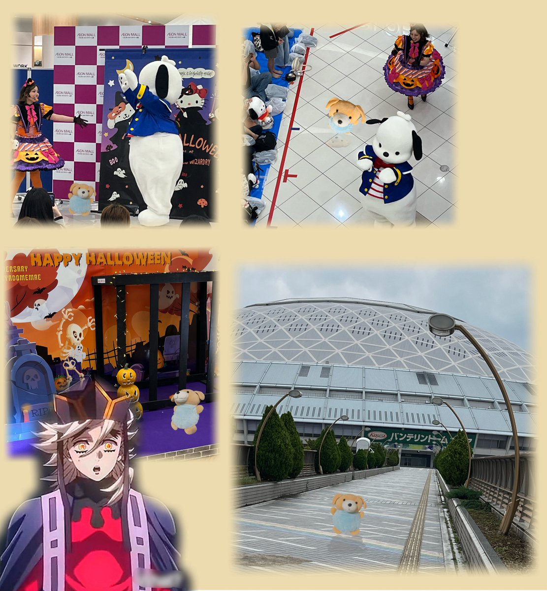 nekogami_return's tweet photo. 😎

ドームでぁる🏢

何もやってない㊙️

隣のイオンでぁる🍌

サンリオ ハロウィンなのだ🎃

ちびっ子　歓喜⤴️

#みんなのIRIAMノート
#向井康二のぼちぼちアフタヌーン
#auPAY公式X5周年
#天使の日
#設営完了
#チャンミ https://t.co/m22ZUs2qRS