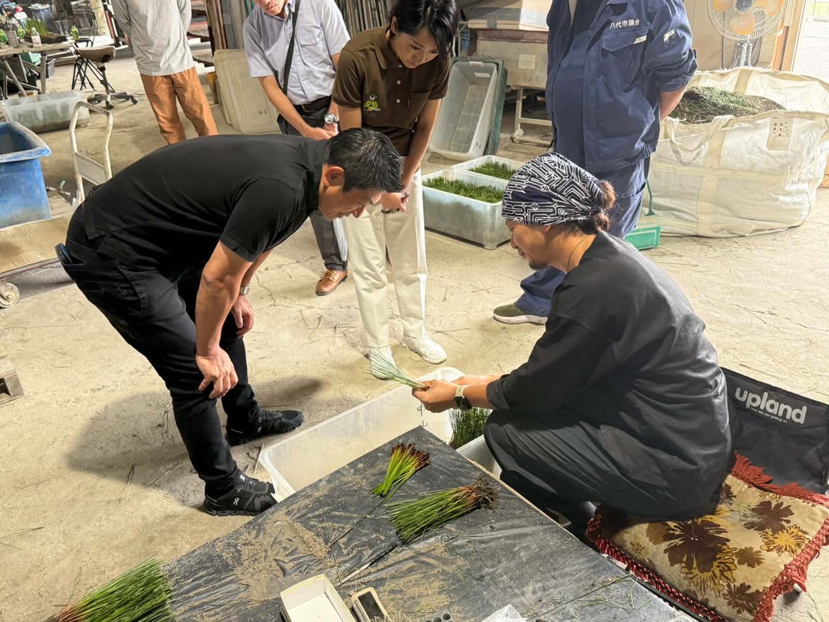 jinkamiya's tweet photo. 午後も八代市の視察で、
い草農家を訪問してお話をお聞きし、
日奈久温泉やお味噌会社の支援依頼の声も聞いてきました。

小川八代市議と高井熊本県議がいるので、
相談の整理と県に頼むこと、国がやるべきこと両方を分けて対応が考えられるので、
とても助かります。

地方議員の大切さを再確認した視察でした。