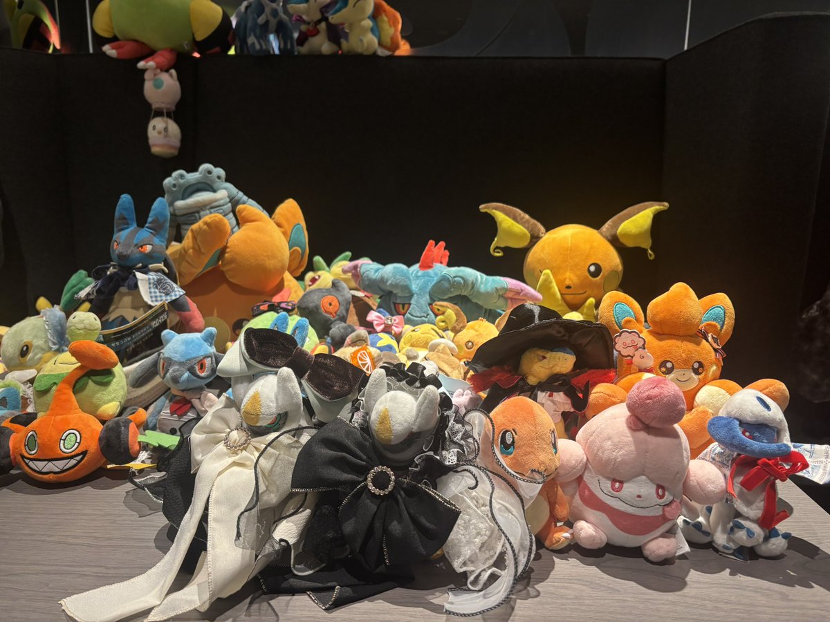 mokosuke_fluffy's tweet photo. #PlushieLife に参加しました！
使用Mドリュウズ

進化ジャマーと先2ファントムダイブは無理だって！対戦ありがとうございました

 #ポケカラウンジ
 #ぬい活 https://t.co/gAxIUhVtNl