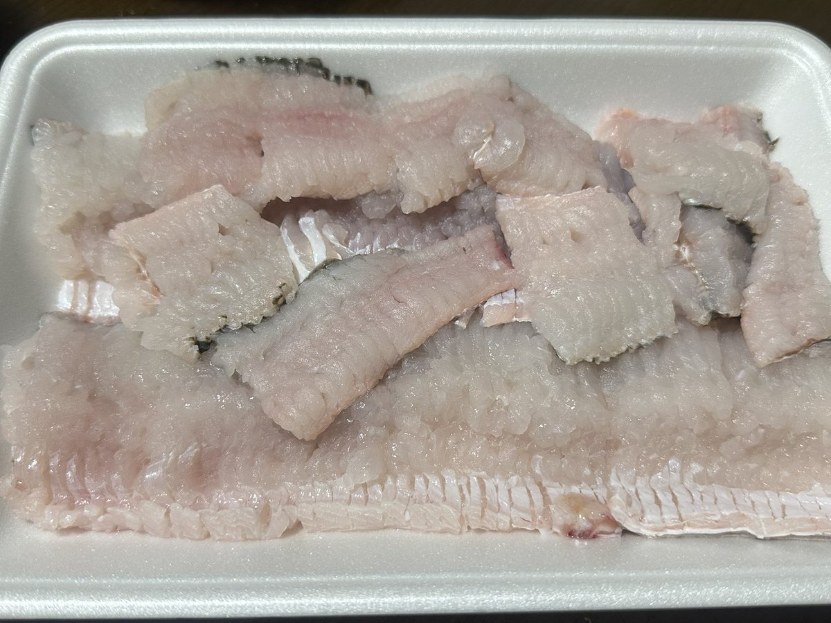 shiragiku3's tweet photo. 大鯵の刺身　これは美味い！脂乗ってて、一切の臭みも無い。最高。これで半身だぜ？

鱧しゃぶ　言わずもがな。

5.2Kg天然クエ　美味いに決まっとる。

その出汁で雑炊　説明不要！！ https://t.co/swa23zeuec