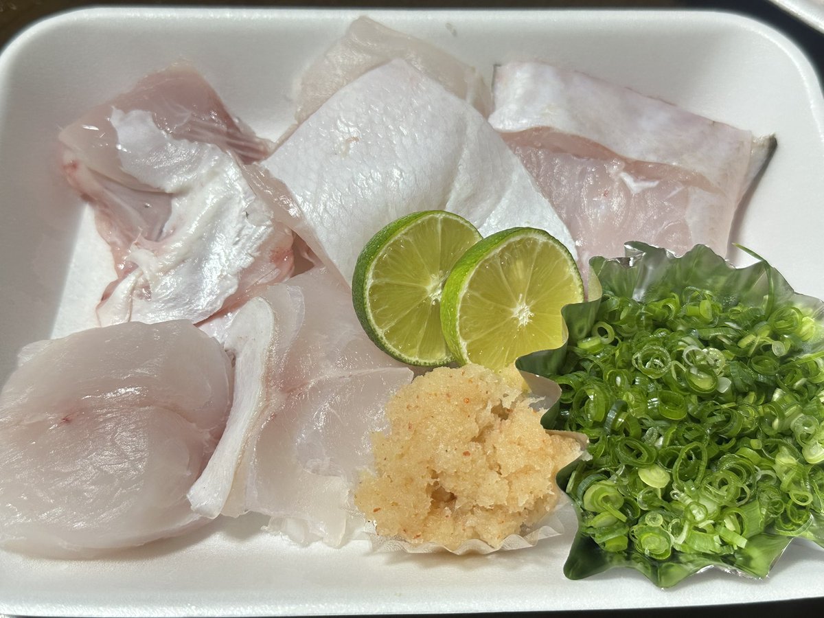 shiragiku3's tweet photo. 大鯵の刺身　これは美味い！脂乗ってて、一切の臭みも無い。最高。これで半身だぜ？

鱧しゃぶ　言わずもがな。

5.2Kg天然クエ　美味いに決まっとる。

その出汁で雑炊　説明不要！！ https://t.co/swa23zeuec
