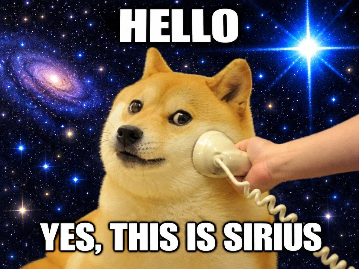 DogestarOnRH's tweet photo. such sirius call https://t.co/8l9eH7Tvyz