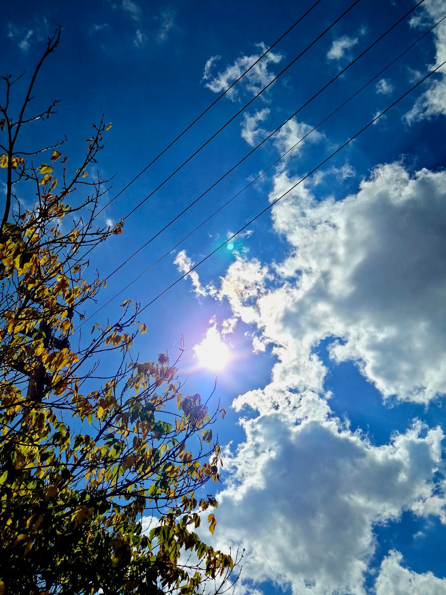 _Yalcin_1234's tweet photo. Günler sonra güneşi gördüm sanki, değerlendirmek lazım.🌞 https://t.co/elcDp8Xv6e