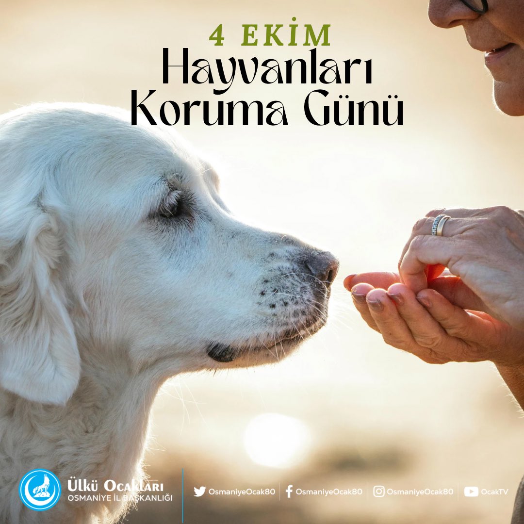 mgeceroglu80's tweet photo. #4EkimHayvanlarıKorumaGünü Kutlu Olsun https://t.co/sTXIME2qjr