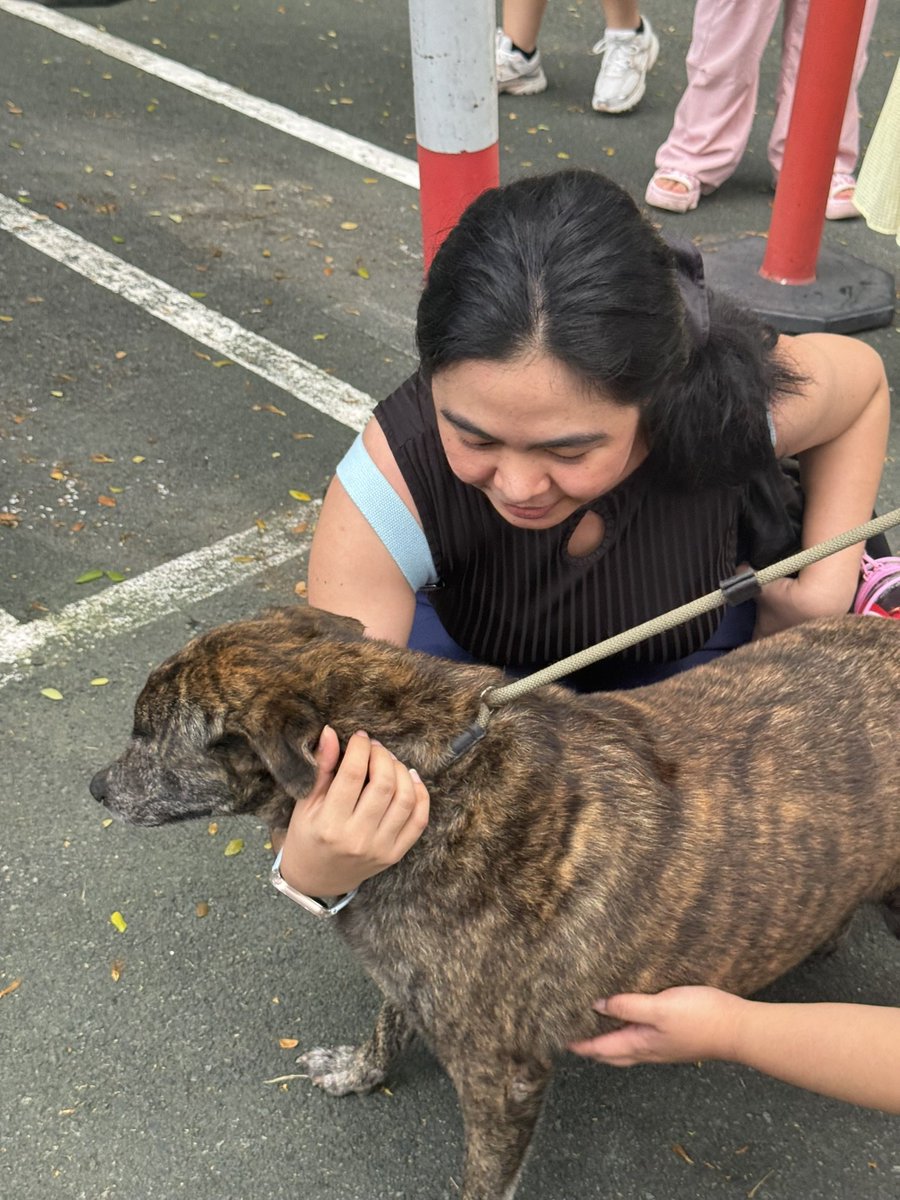 bestfriendbonon's tweet photo. Had fun today with #PlaywithYoon thank you for organizing this very meaningful event @zkdlscoups 🤍 walking the adopt biyaya dogs on Hannie's bday will be the highlight of my month!! 🥹
And here's a pic of me and Jayjay (JJ unit hehe) pati kung gaanong ayaw na nya umuwi 😭 https://t.co/AsI2un6P6E