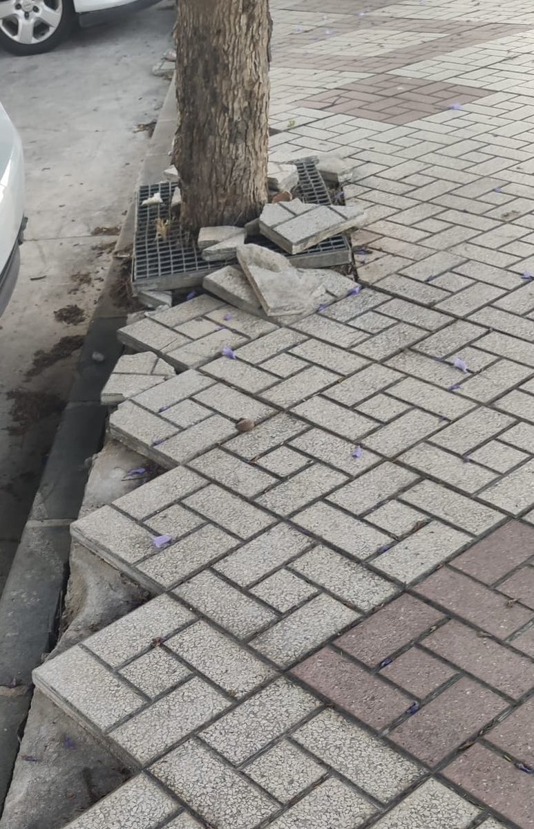 VOXTorremolino1's tweet photo. 🚧 Torremolinos no puede seguir normalizando este abandono.

Aceras rotas, alcorques deteriorados y riesgos para los peatones mientras el PP presume de gestión.

Las calles deben mantenerse todo el año, no solo cuando se acercan elecciones.

VOX es necesario en este Ayuntamiento https://t.co/oCXZvxTes2