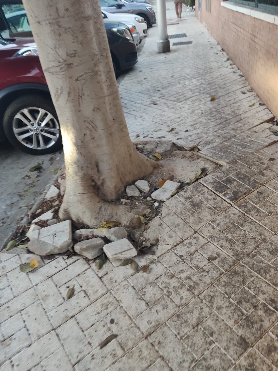 VOXTorremolino1's tweet photo. 🚧 Torremolinos no puede seguir normalizando este abandono.

Aceras rotas, alcorques deteriorados y riesgos para los peatones mientras el PP presume de gestión.

Las calles deben mantenerse todo el año, no solo cuando se acercan elecciones.

VOX es necesario en este Ayuntamiento https://t.co/oCXZvxTes2