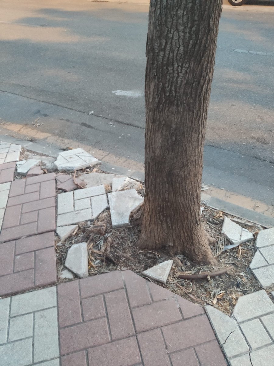 VOXTorremolino1's tweet photo. 🚧 Torremolinos no puede seguir normalizando este abandono.

Aceras rotas, alcorques deteriorados y riesgos para los peatones mientras el PP presume de gestión.

Las calles deben mantenerse todo el año, no solo cuando se acercan elecciones.

VOX es necesario en este Ayuntamiento https://t.co/oCXZvxTes2