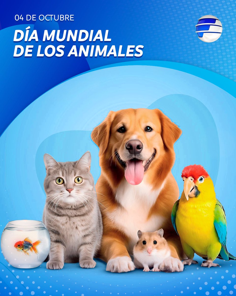 Telefuturo's tweet photo. ¡Hoy celebramos el Día Mundial de los Animales! 🐶🐱

🐮🐔🐷 Esta fecha fue creada para concientizar sobre la protección, el bienestar y los derechos de todas las especies del planeta.

#TelefuturoPy https://t.co/EE3xO2t8o2