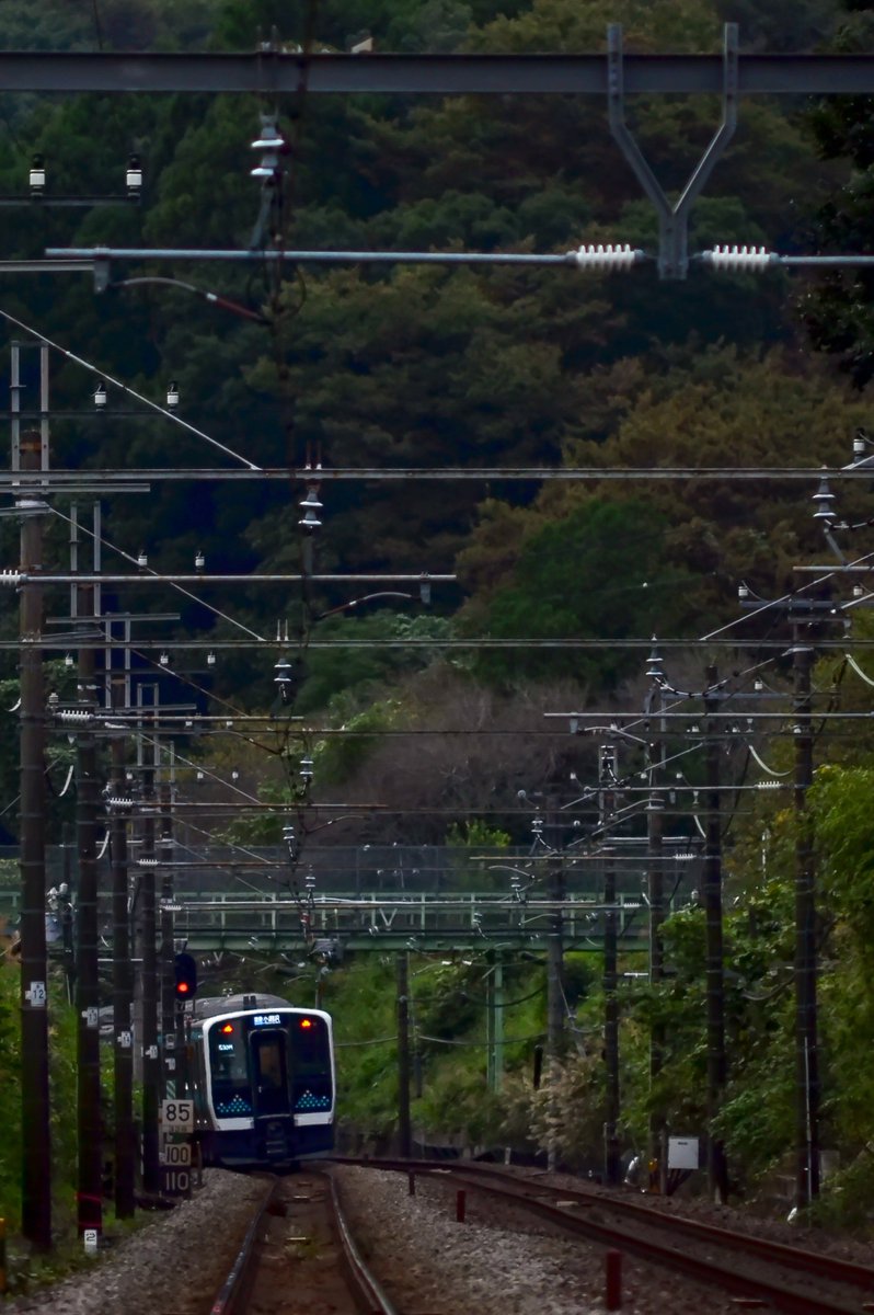 saimyon189's tweet photo. 10/4 中央本線
病み上がりのリハビリがてら地元鉄
なんと今月からE131-200での運用が始まったので気の済むままに撮ってきました
これからお世話になります https://t.co/XLNEOsLMp7
