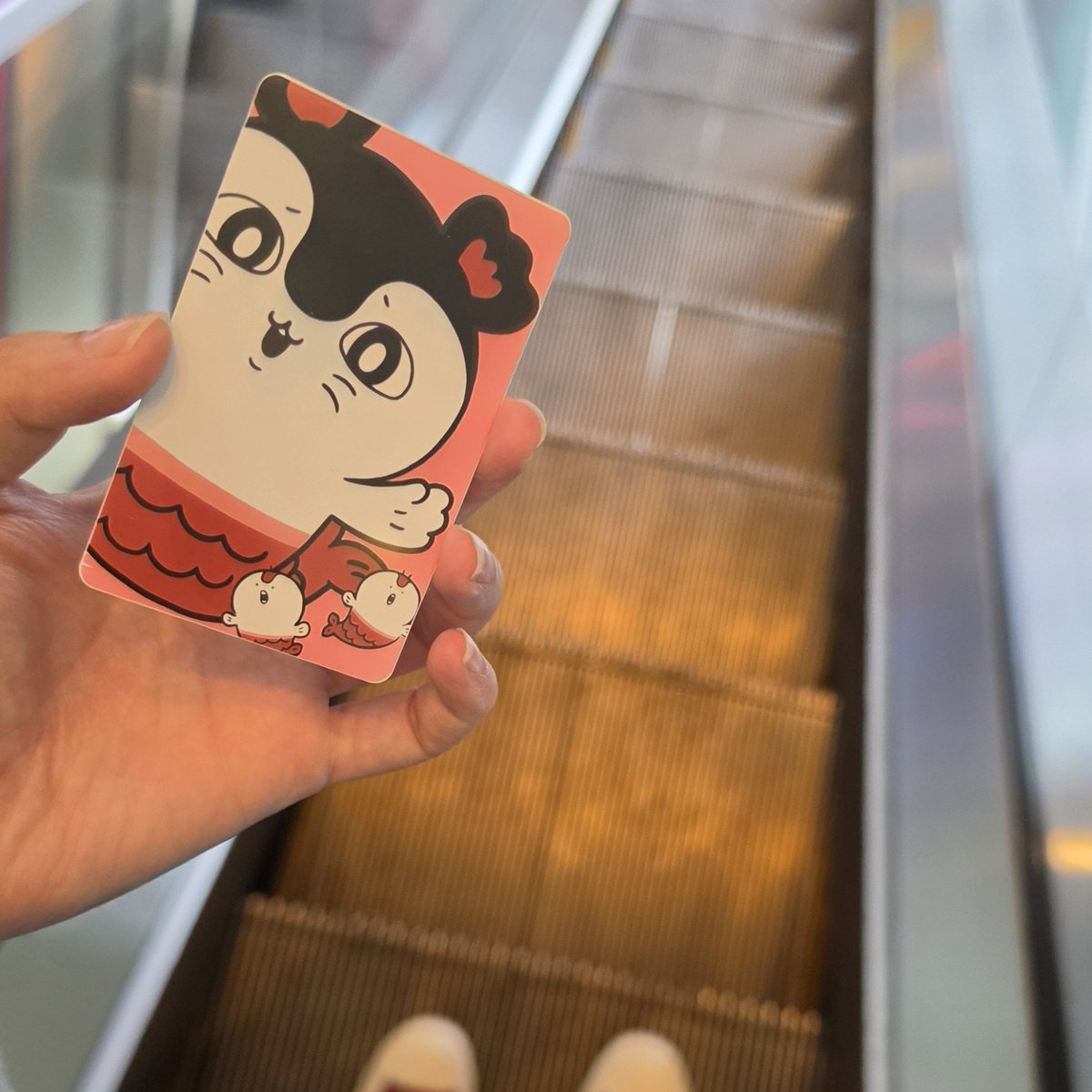 bingobears tweet picture