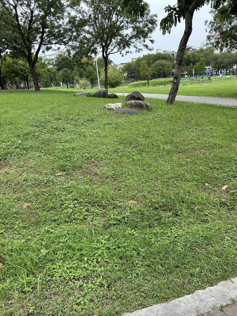 Joe05659213's tweet photo. 來到一個陌生的地方
#岡山 https://t.co/22AzUUJSXu