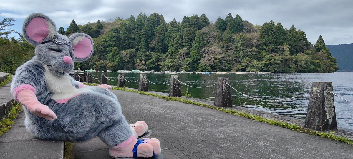 Y_hapiguri's tweet photo. #furry #fursuit https://t.co/VVQ1F03hug