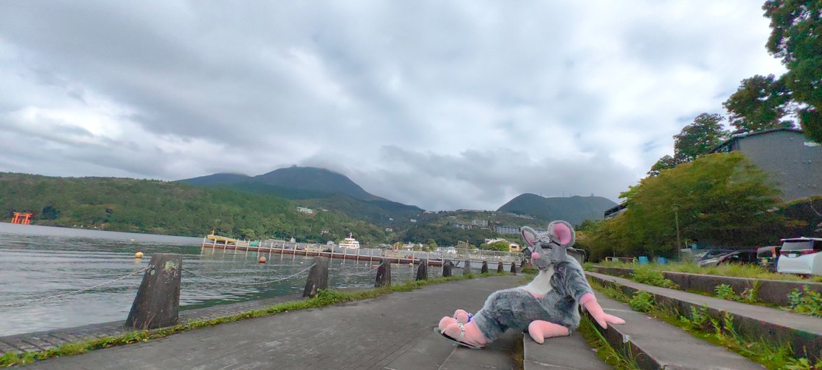 Y_hapiguri's tweet photo. #furry #fursuit https://t.co/VVQ1F03hug