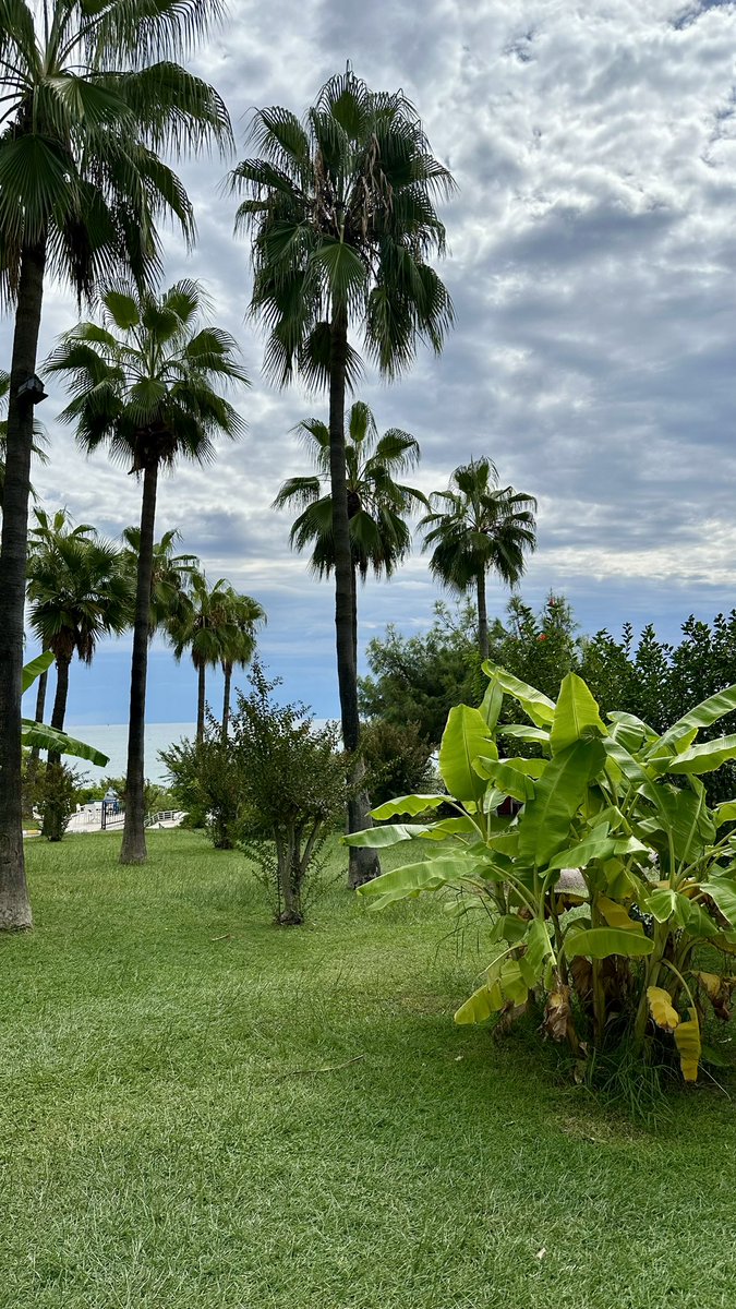 udaganinyolu's tweet photo. Hellooo 
📍Antalya https://t.co/Qbf8SulXTM