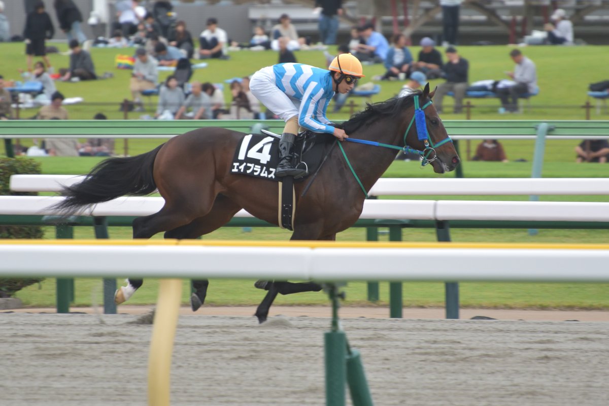 Famous_Silk's tweet photo. エイブラムス / 赤富士S
単勝188.9倍のブービー人気ながら、直線では大外から一瞬全馬を飲み込むかという勢いを見せて4着。最後は上位勢と同じ脚色になりましたが、見せ場十分の内容。芝スタートでモタつく面を見せるものの、距離適性という点ではにはマイルがベストの印象。 https://t.co/nSiEeBREDP