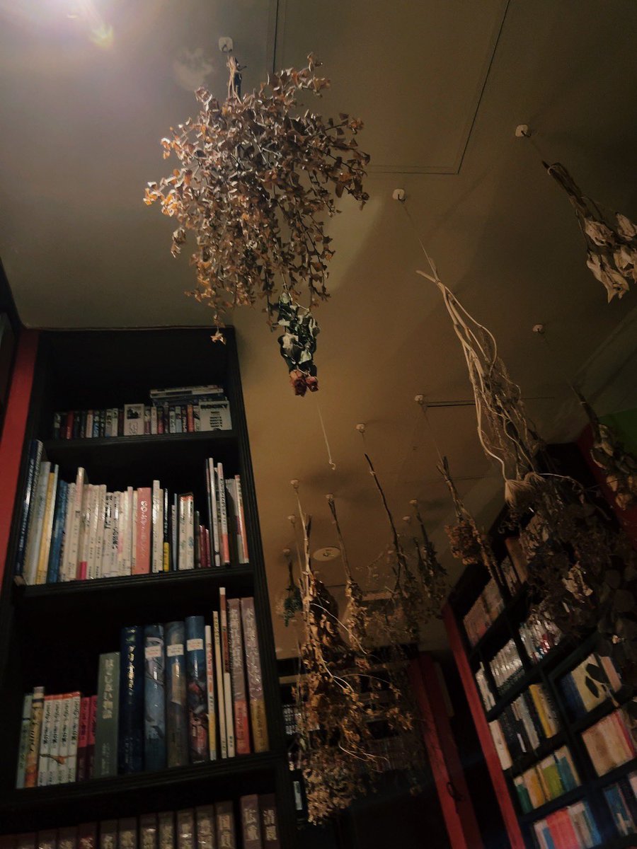 ayano_taguchi's tweet photo. 最近は読書が出来るラウンジや喫茶店にハマっております✨

1枚目はラウンジ！
飲み物だけでなくお菓子や軽食も楽しめました！
フリータイムでほぼ1日中いたけど足りないくらい✌️

そして雰囲気の良い喫茶店で、オシャレな内装やメニューを楽しみながら読書も出来る所も発見📕
コーヒー美味しかった🥰 https://t.co/8Em1RrLEDQ