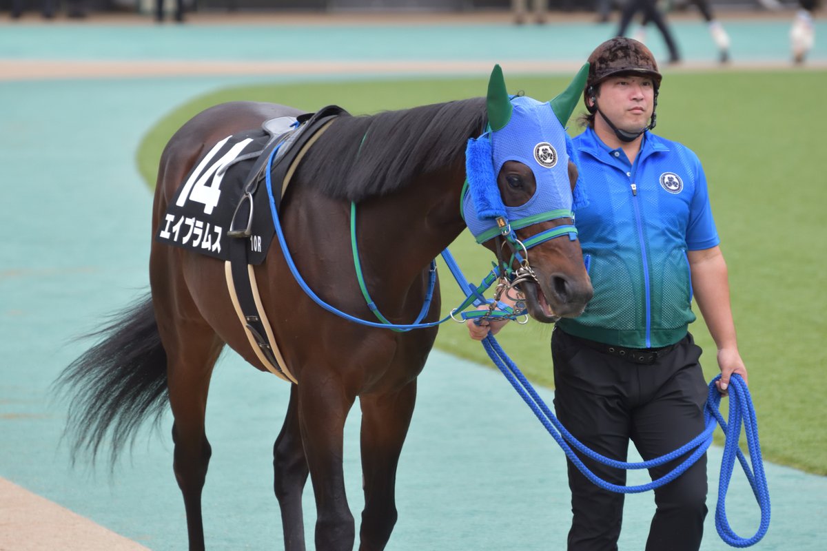 Famous_Silk's tweet photo. エイブラムス / 赤富士S
単勝188.9倍のブービー人気ながら、直線では大外から一瞬全馬を飲み込むかという勢いを見せて4着。最後は上位勢と同じ脚色になりましたが、見せ場十分の内容。芝スタートでモタつく面を見せるものの、距離適性という点ではにはマイルがベストの印象。 https://t.co/nSiEeBREDP