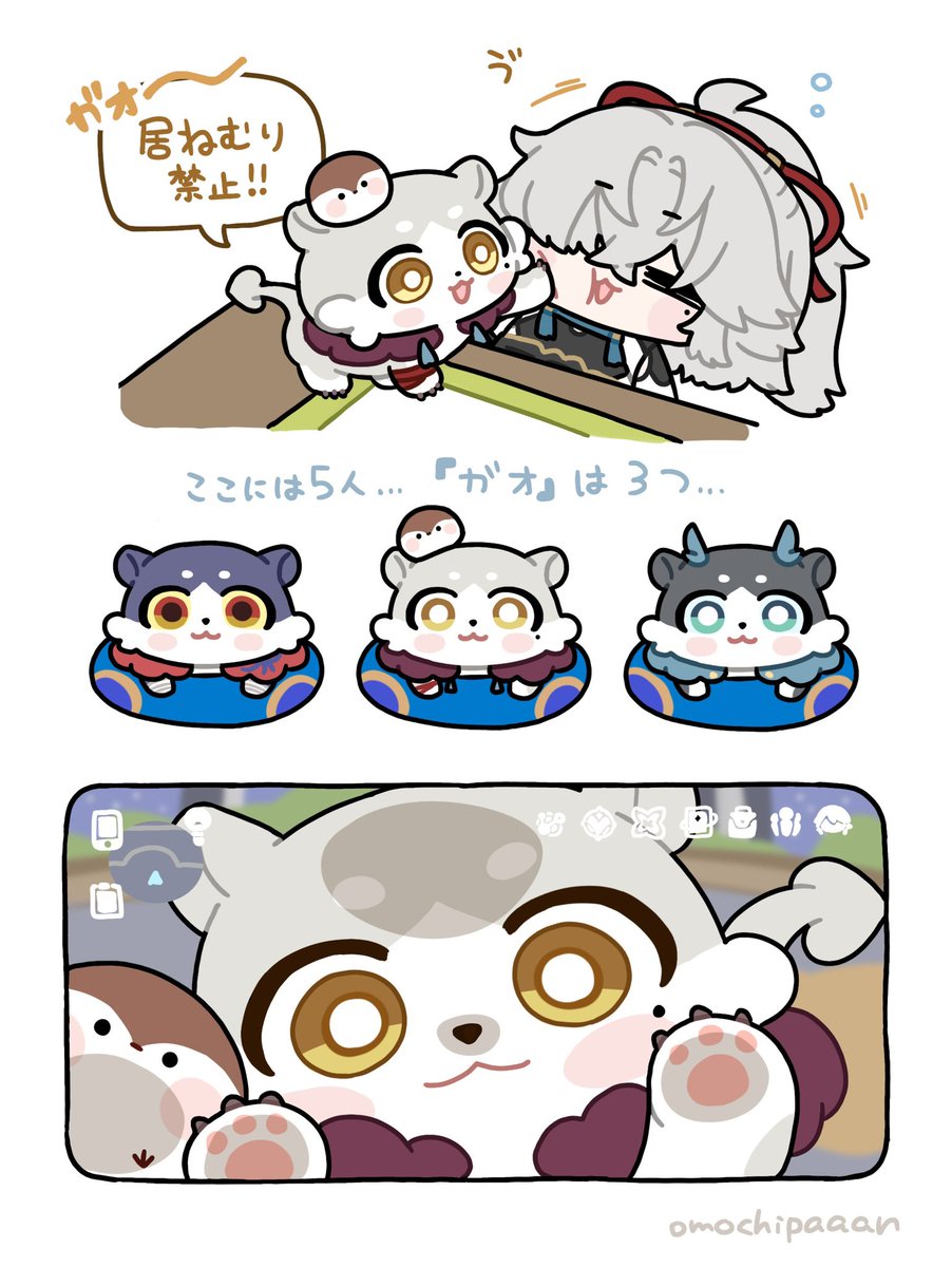 omochipaaan's tweet photo. ぱっちりとの日々 https://t.co/HP20k6rUyg