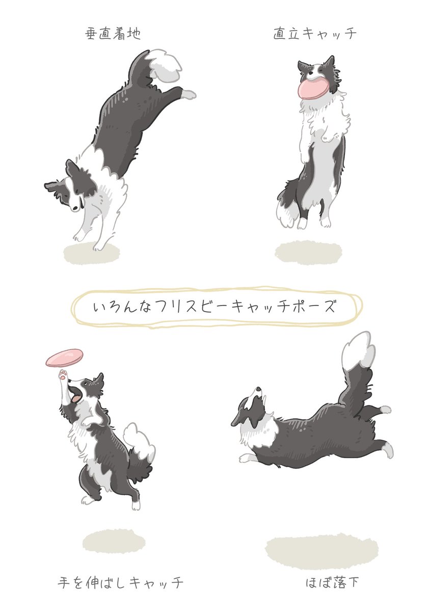 chikchikuni's tweet photo. うちのこフリスビー。

#ボーダーコリー #うちのこ日記 #イラスト https://t.co/y0JBFJUadB