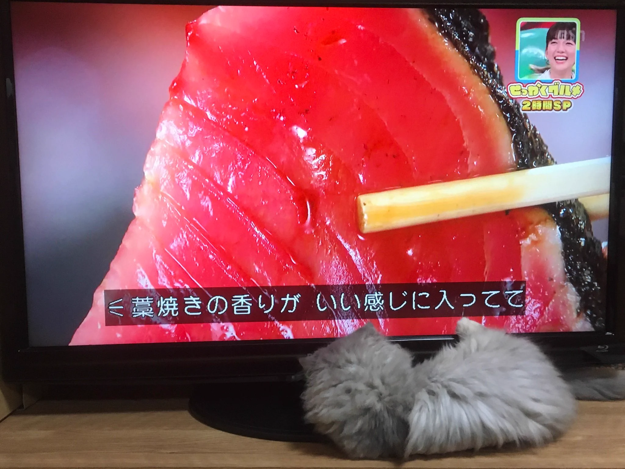 ゴン太 on X / X