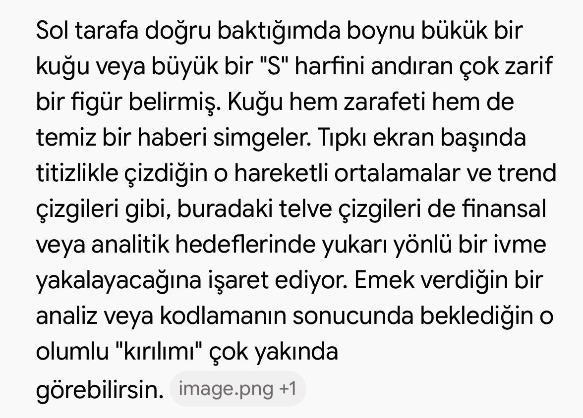 OgruyesiProf's tweet photo. Yapay zekaya sadece falıma bak dedim. Geçmişte sorduğum ve yaptıklarımı baz almış her paragrafta. Falın geneline bakınca ürkmedim desem yalan olur. Bu da finansal faaliyetlerimi kattığı kısım:)) https://t.co/d6npjIiNoF