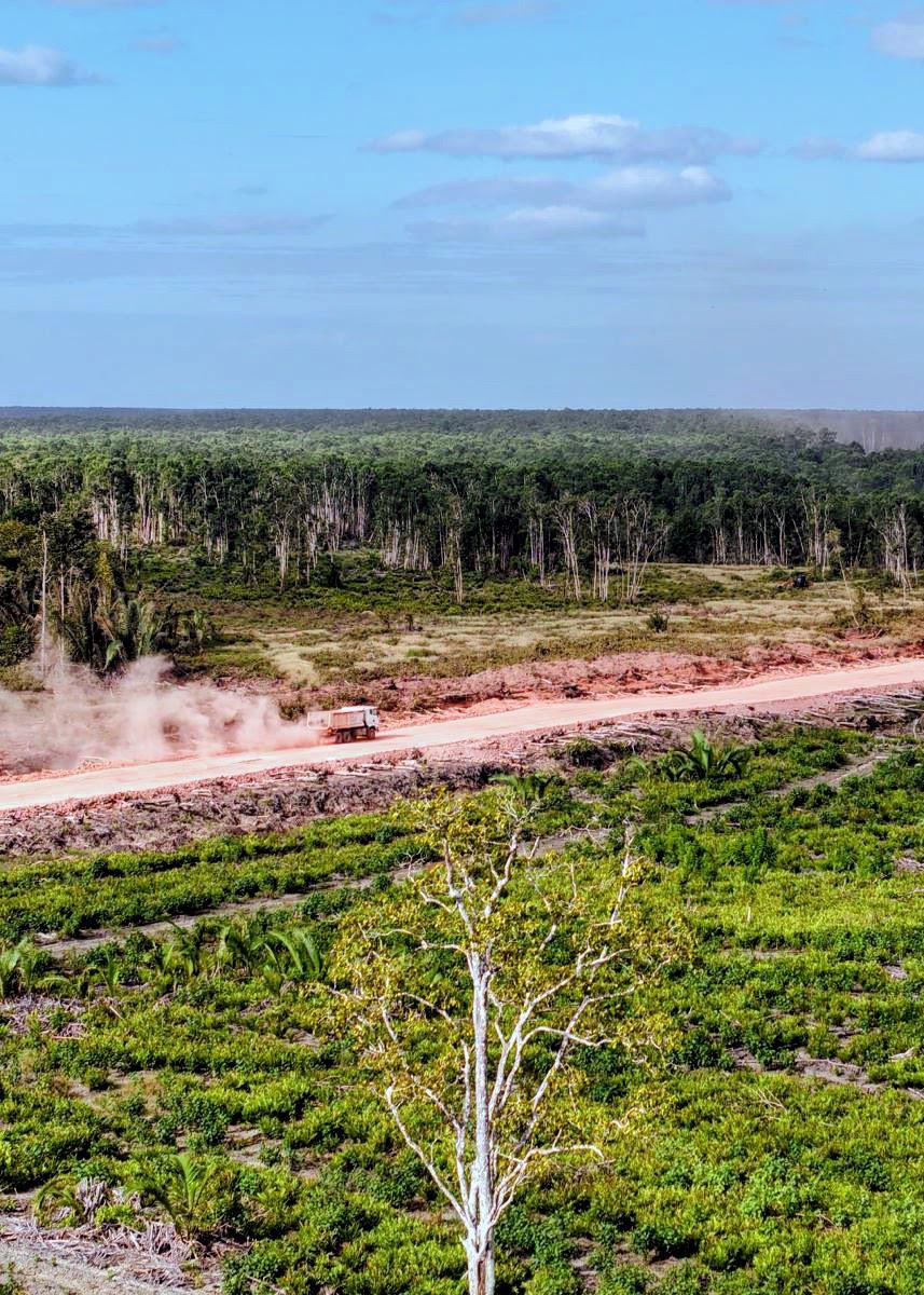 angkytm's tweet photo. Kabar penghancuran hutan dan rawa untuk proyek raksasa industri energi di Papua Selatan, belum juga berakhir dan semakin brutal. Sumber hidup masyarakat adat dan rumah berbagai spesies digusur dan dihancurkan, untuk perluasan perkebunan tebu, bahan industri energi bioetanol. https://t.co/BtSaTOwvW9