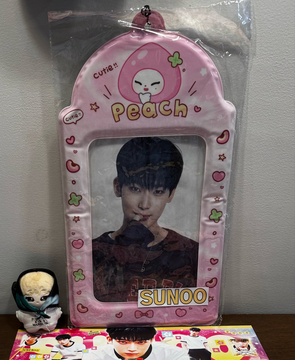 seoksuntaeny's tweet photo. HELP RT!!!!! 

Missing: SUNOO POCAHOL ‼️‼️‼️ 

Meron kumuha ng Sunoo pocahol ko 😭😭😭

OH MY GOD!!! KUNG SINO MAN KUMUHA, PLEASE IBALIK MOOOOOO SHUTTAAAA 

#SUNOO #선우 https://t.co/y6GskodKgo
