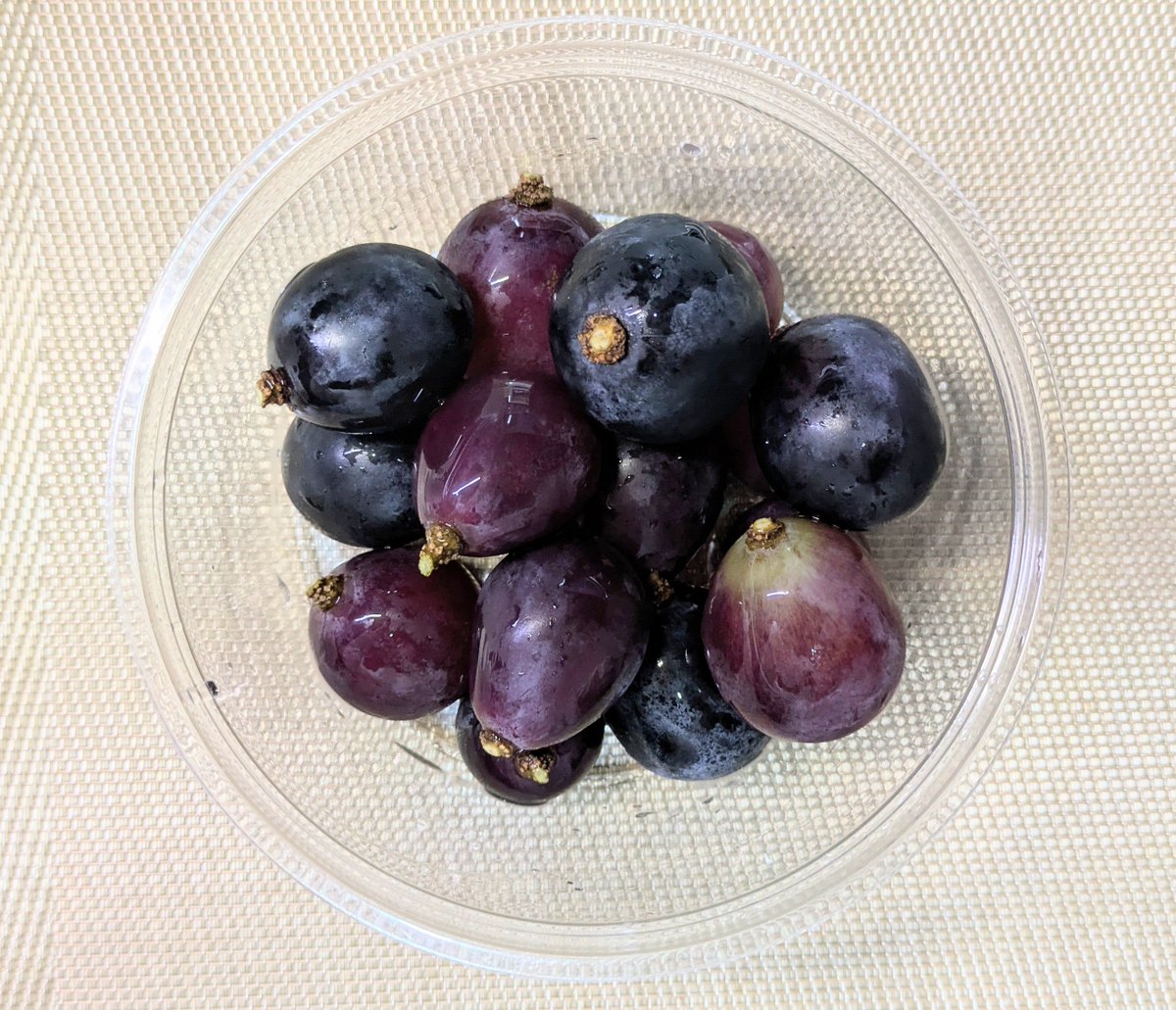 take41's tweet photo. 巨峰 🍇 https://t.co/pOzMaYgUfc