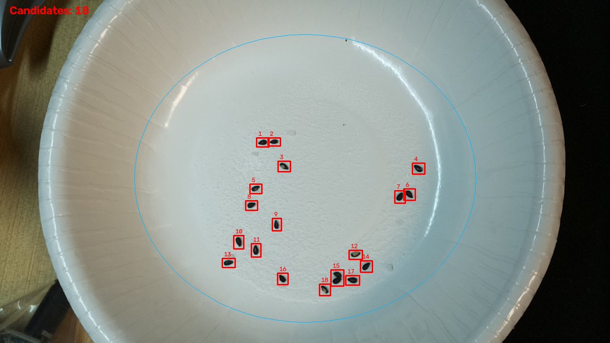 Naoki_lab's tweet photo. 某メイカー作品に触発されて、異物検出の第一歩
かつてimageJでマクロ組んで実務に入れたことあるけど、同等のものが数分でできた・・・面白怖い https://t.co/h0RQLLnUFr