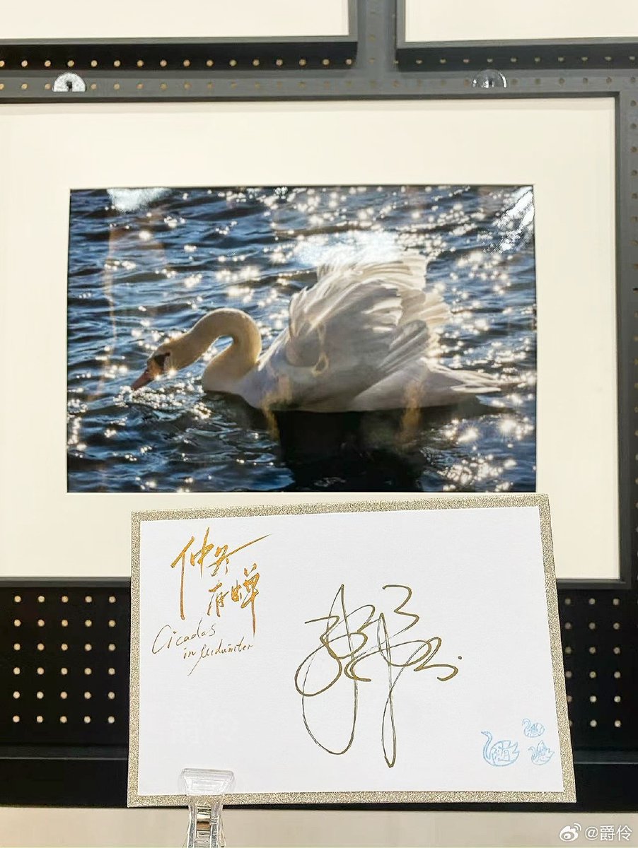 beaup441288's tweet photo. [A touch of warmth in every ordinary moment, your trust builds our confidence, the past is our insight, and hard work pays off!] https://t.co/ofgyzH7aLv
