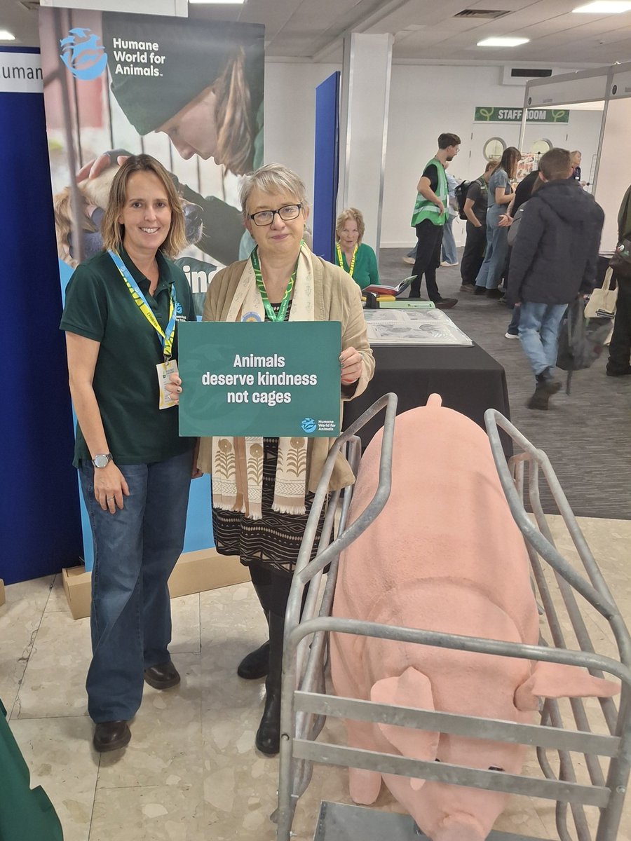 natalieben's tweet photo. #FactoryFarming has to end. #AnimalWelfare is an important reason, and the horror is clearly illustrated with this farrowing crate on @humaneworlduk stall at #GreenParty conference https://t.co/a9KMmJzPUe