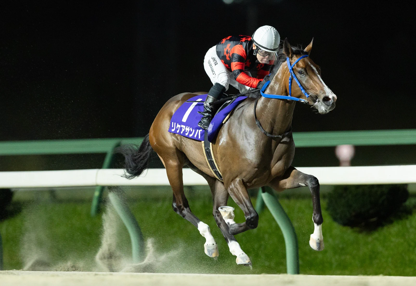 岩手 競馬 結果(02)