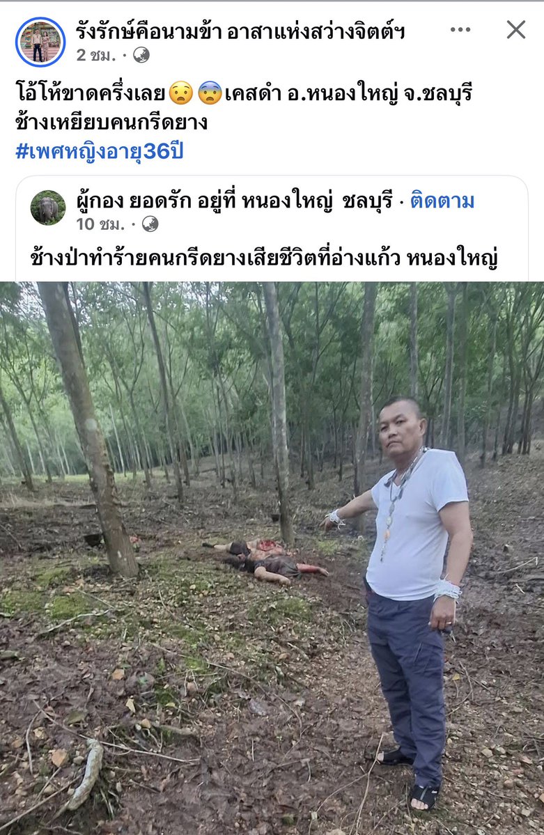 RedSkullxxx's tweet photo. เหตุคนถูกช้างป่าทำร้ายจนถึงแก่ความตาย นางวรรณา ศรีดาชะมา อายุ 36 ปี การแต่งกายสวมเสื้อยืดแขนสั้นสีดำ กางเกงขาสั้นสีดำ นอนเสียชีวิตในที่เกิดเหตุ 

นายพันมงคล จินดาวัลย์ สามีผู้ตายเล่าว่าก่อนเกิดเหตุผู้ตายกับตนเองซึ่งเป็นสามี ได้ออกมาเก็บน้ำยางฯ ในสวนยางที่เกิดเหตุ ขณะนั้นได้มีช้างป่าตัวหนึ่ง เข้ามาวิ่งไล่และทำร้ายผู้ตายและตนเอง ผู้ตายพยายามวิ่งหลบหนี แต่หลบหนีไม่ทัน จึงถูกช้างป่าทำร้ายจนถึงแก่ความตาย