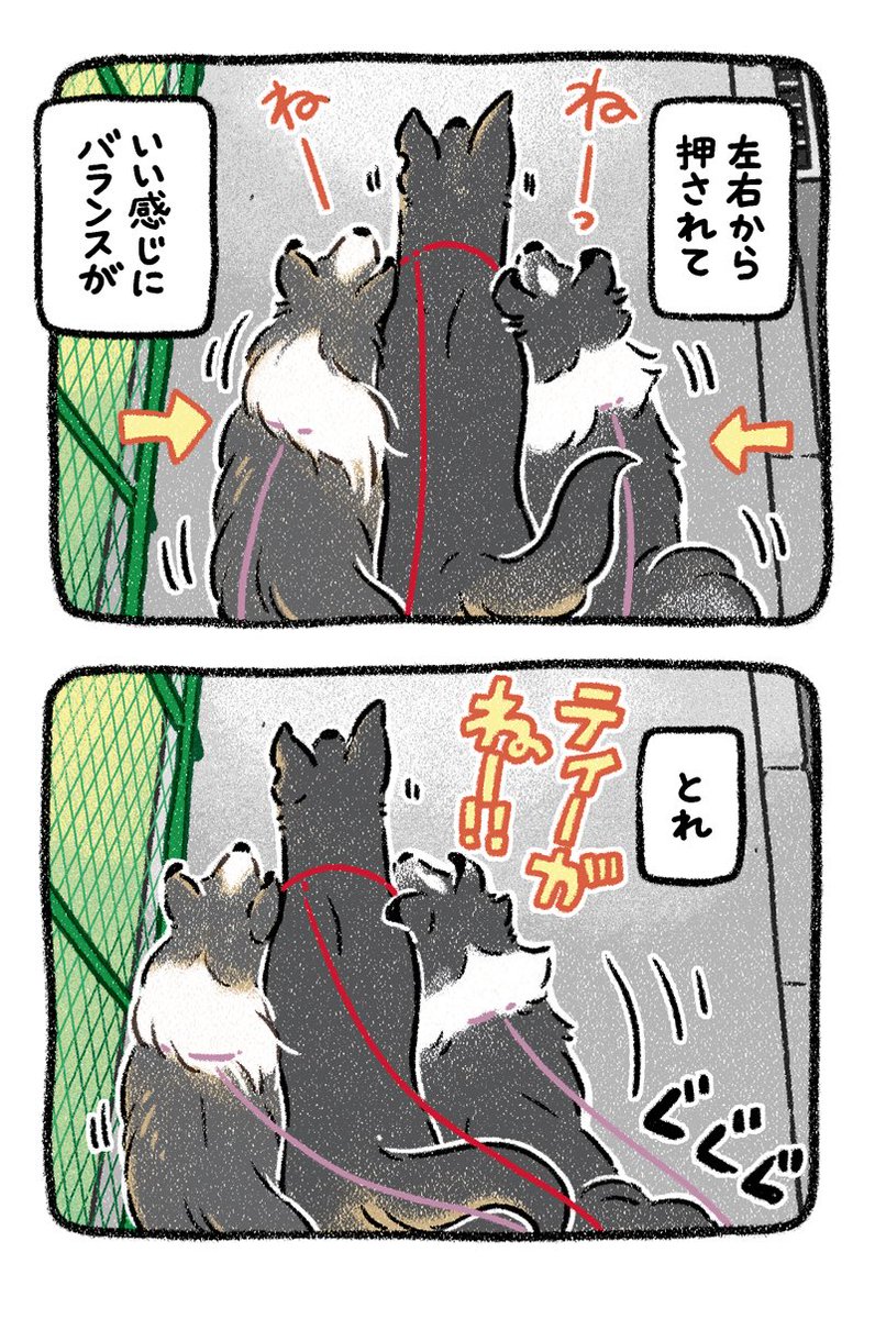 yosimofurou's tweet photo. むぎゅぅ https://t.co/nwFwjS8wZq