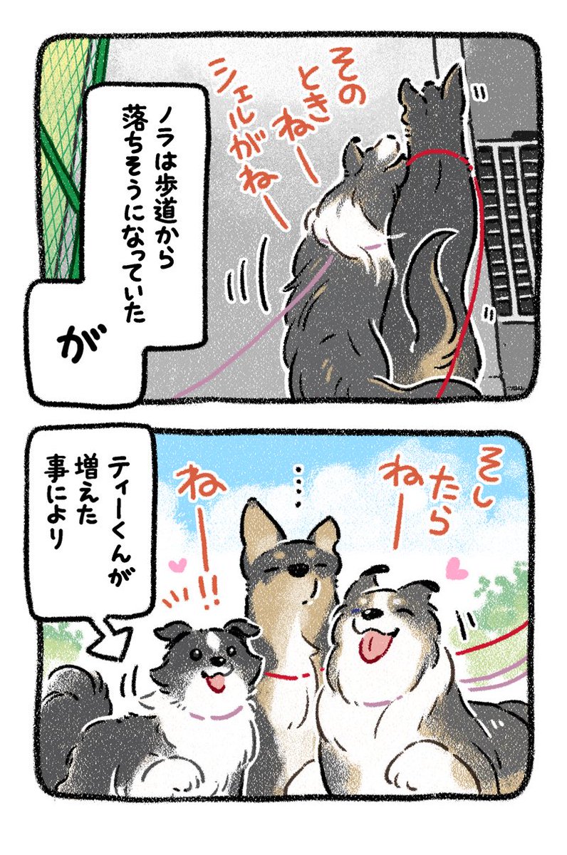 yosimofurou's tweet photo. むぎゅぅ https://t.co/nwFwjS8wZq