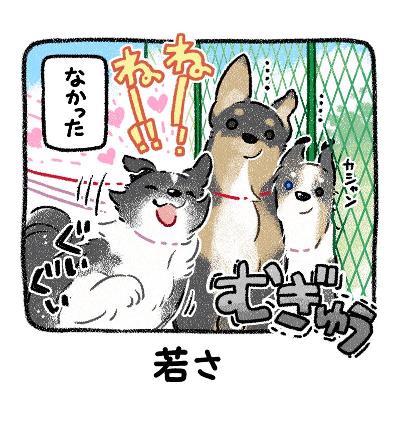yosimofurou's tweet photo. むぎゅぅ https://t.co/nwFwjS8wZq