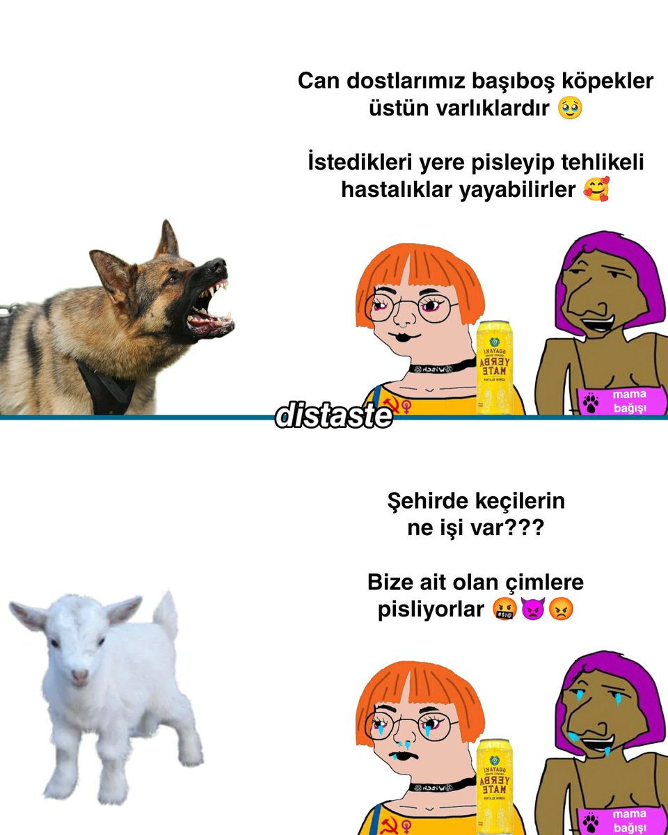 Distaste_1's tweet photo. Şehirde keçi gören pakizeler ağlamış 🤣 https://t.co/I03jhvsuBA