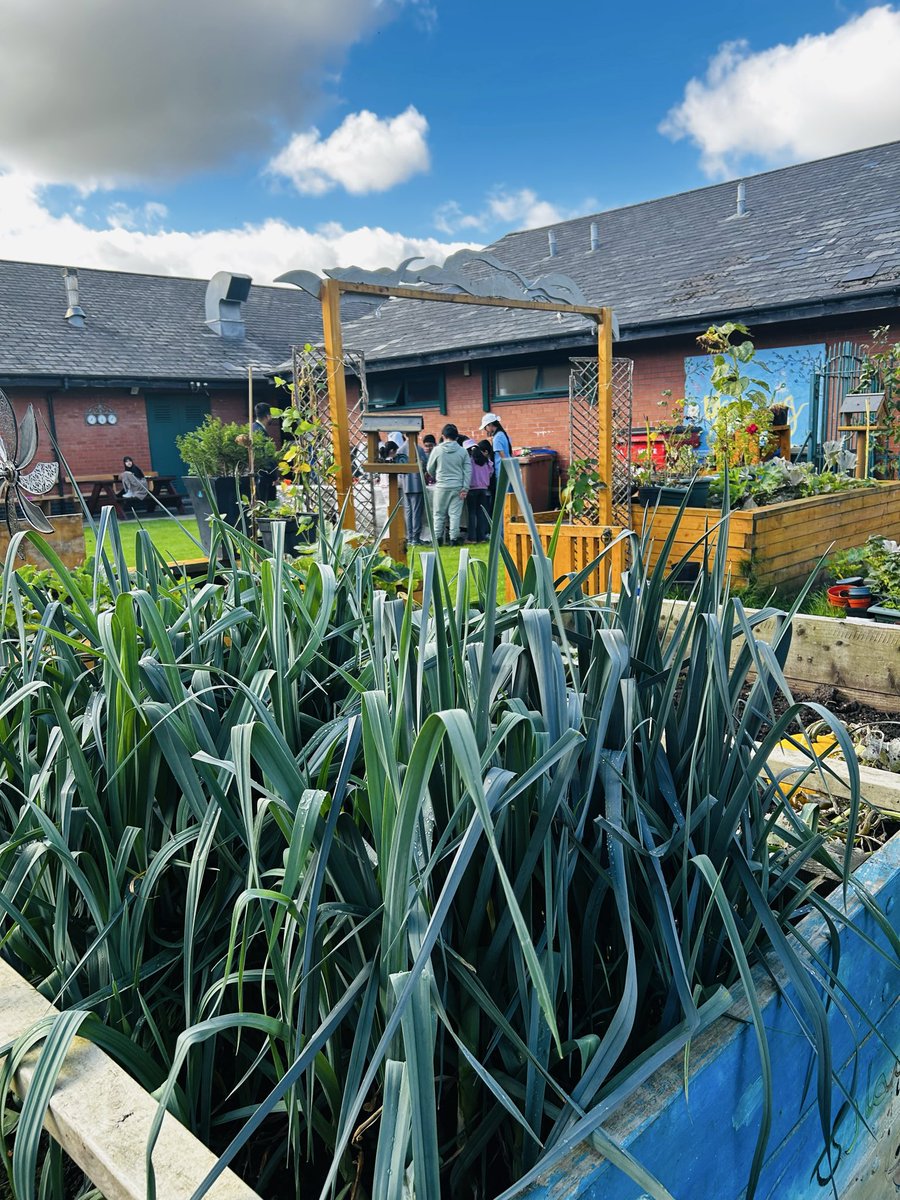 deeplishcc's tweet photo. October Harvest at @deeplishcc
melons, chillies, pumpkins & fresh veg harvested, cooked & tasted by community members & our little gardeners. Plot to plate!
Thank you to Action together’s Climate cooperative’s Fund
#Deeplish #CommunityGarden, @RochdaleCouncil @WeActTogether https://t.co/DWWAqmBOxO