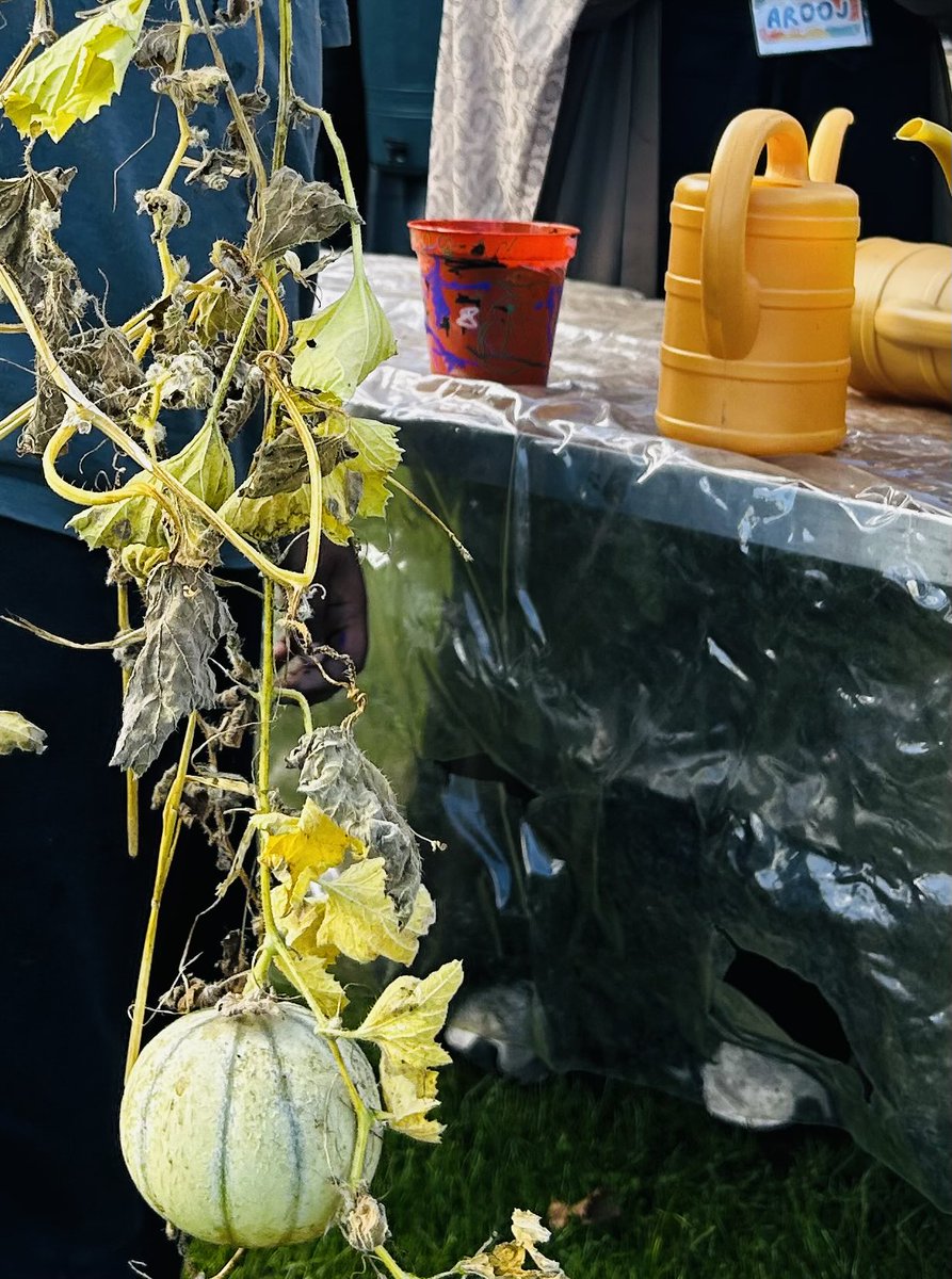deeplishcc's tweet photo. October Harvest at @deeplishcc
melons, chillies, pumpkins & fresh veg harvested, cooked & tasted by community members & our little gardeners. Plot to plate!
Thank you to Action together’s Climate cooperative’s Fund
#Deeplish #CommunityGarden, @RochdaleCouncil @WeActTogether https://t.co/DWWAqmBOxO
