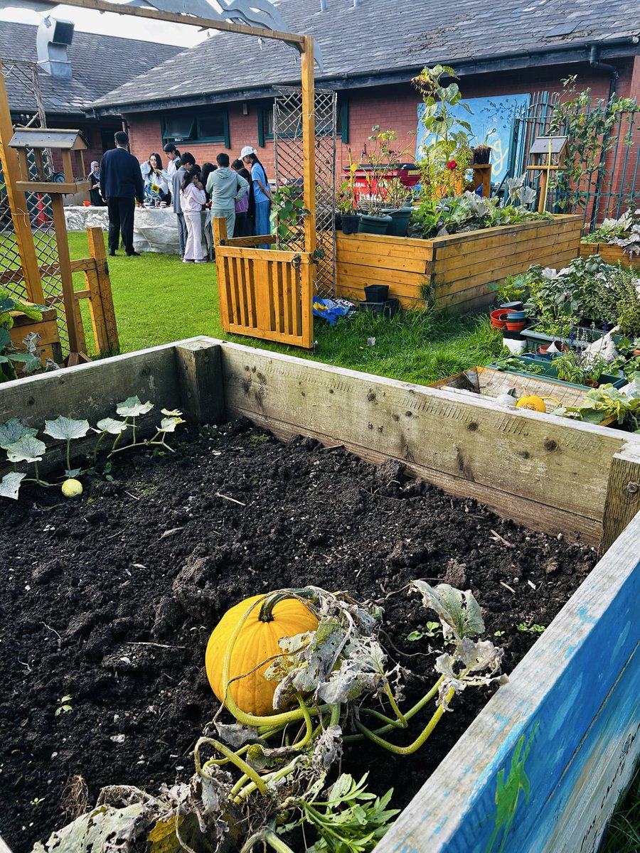 deeplishcc's tweet photo. October Harvest at @deeplishcc
melons, chillies, pumpkins & fresh veg harvested, cooked & tasted by community members & our little gardeners. Plot to plate!
Thank you to Action together’s Climate cooperative’s Fund
#Deeplish #CommunityGarden, @RochdaleCouncil @WeActTogether https://t.co/DWWAqmBOxO