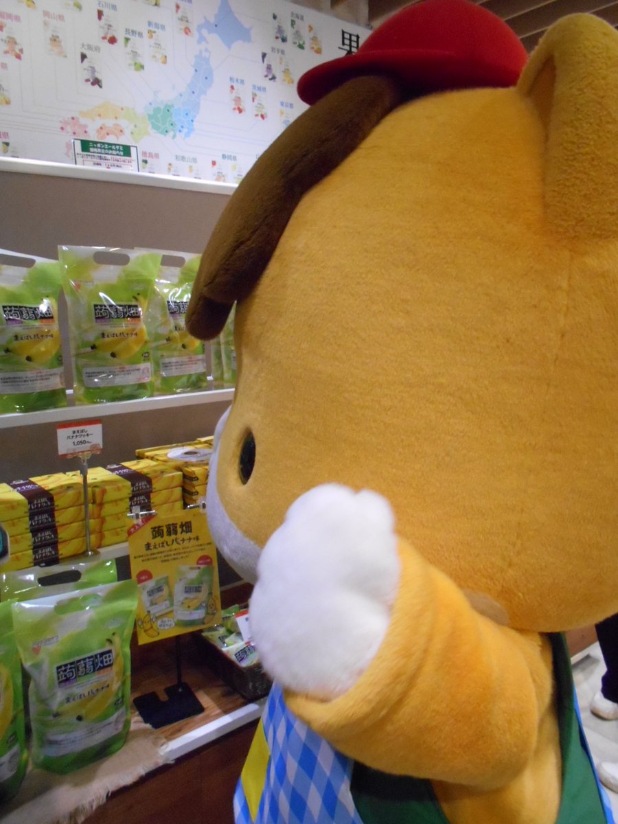 polopolo0815's tweet photo. １０月３日（土）わくわく群マルシェｉｎＪＡ東京アグリパーク🥳
群馬の物産ＰＲでぐんまちゃんが来館！店内は美味しい物いっぱいで、迷っちゃうよね～！😋
　#ぐんまちゃん　#JA東京アグリパーク https://t.co/BKGfUj2isl