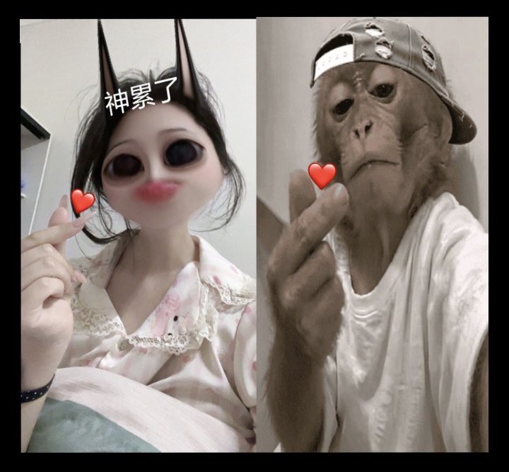 Jisimsdisd's tweet photo. 🐒❤️ https://t.co/qAm2qFOMxQ