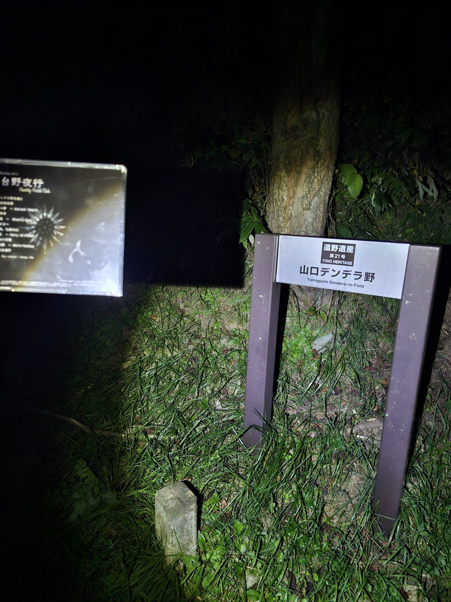 o8qZ6riQpwyFtv2's tweet photo. 蓮台野夜行、夜のデンデラ野だよ。
夜のデンデラ野、蓮台野夜行だよ。 https://t.co/k537mSKSSS