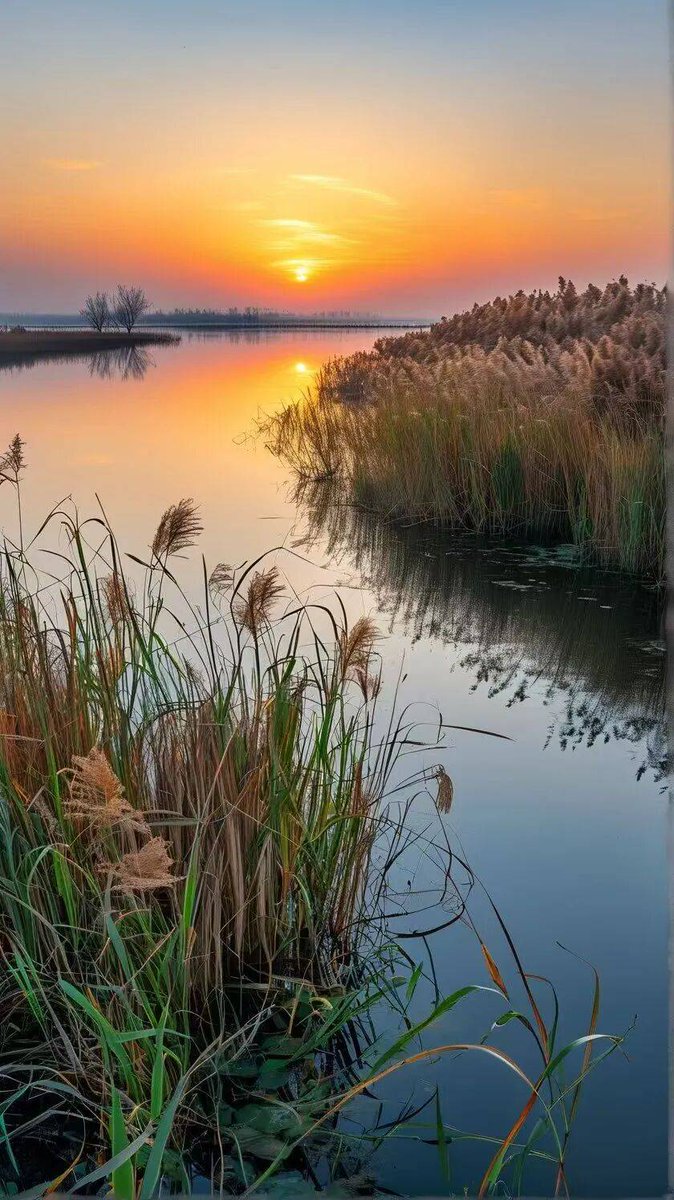 karac524321's tweet photo. When the sun sinks low, the warm glow on the grassy mound meets the frothy waves of the river—such a peaceful scene, soft and vivid, that words barely do it justice. https://t.co/GELT2UWjt3