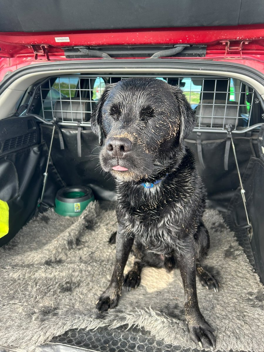 ablacktale's tweet photo. Who are you calling a sandy derp face 🤔 https://t.co/E5SSJIHjC0